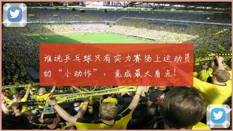 谁说乒乓球只有实力赛场上运动员的“小动作”,竟成最大看点!